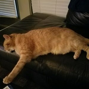 Meet your Posher, Travis